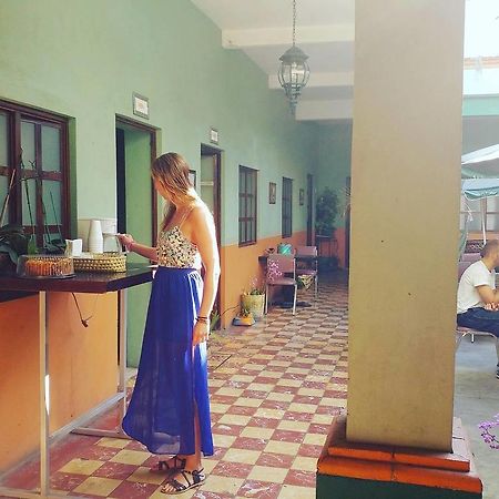 Hierba De Conejo Hostel Oaxaca Kültér fotó
