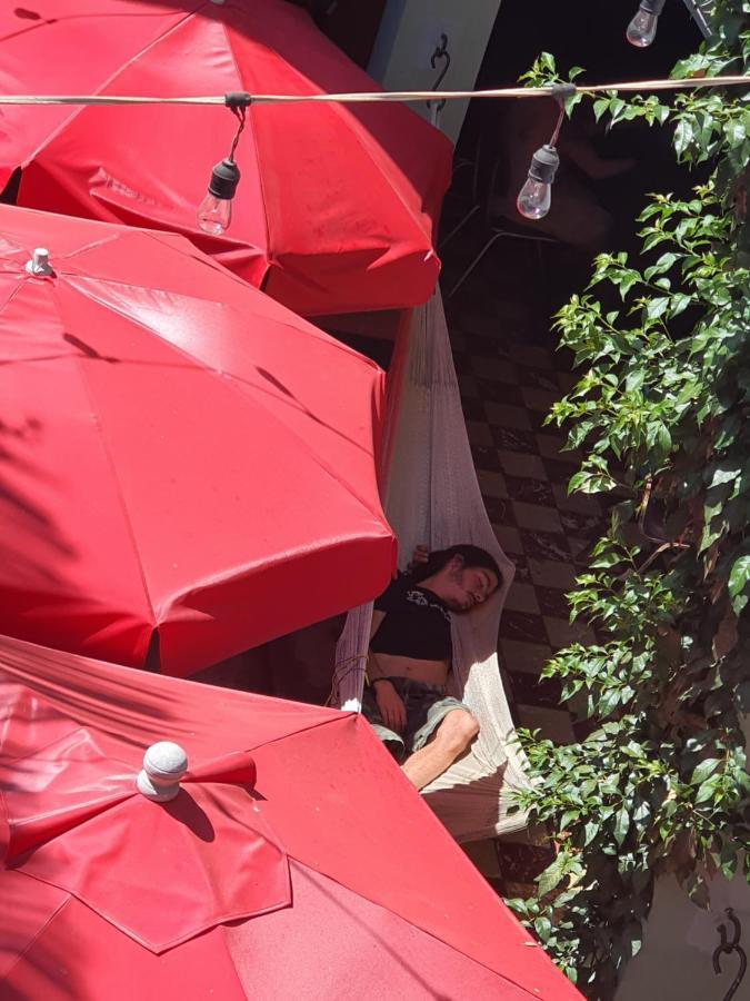 Hierba De Conejo Hostel Oaxaca Kültér fotó