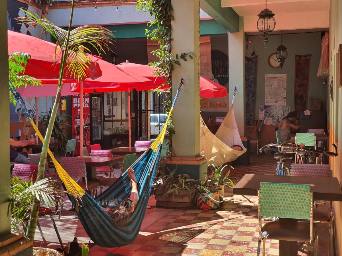 Hierba De Conejo Hostel Oaxaca Kültér fotó