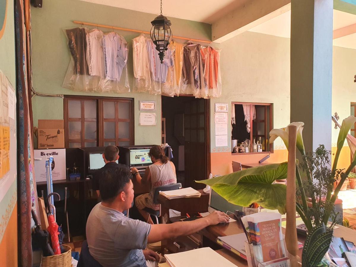 Hierba De Conejo Hostel Oaxaca Kültér fotó