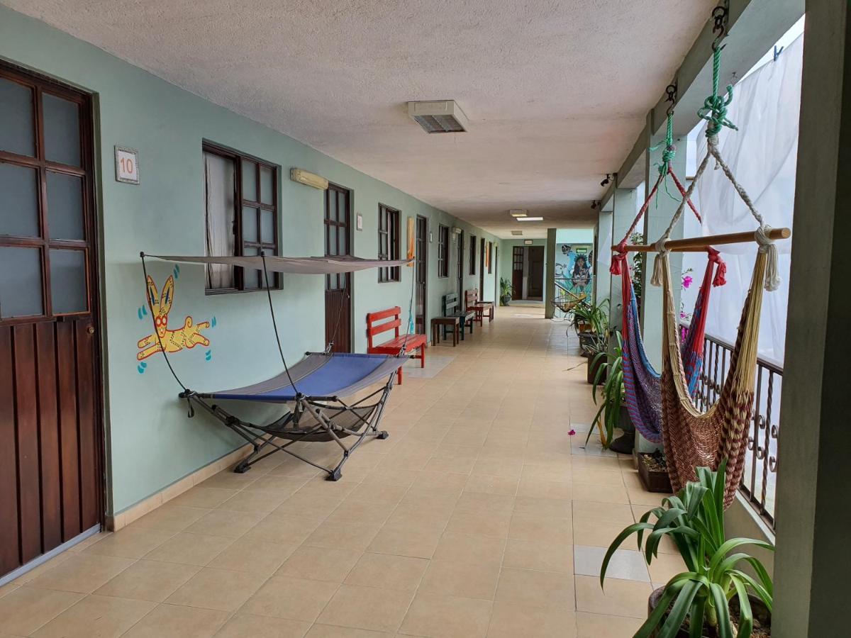 Hierba De Conejo Hostel Oaxaca Kültér fotó
