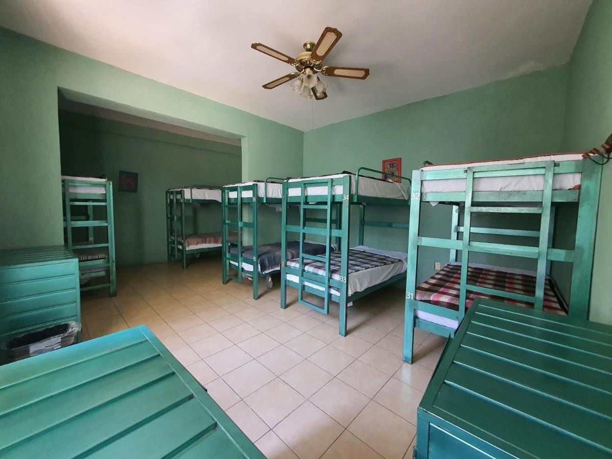 Hierba De Conejo Hostel Oaxaca Kültér fotó