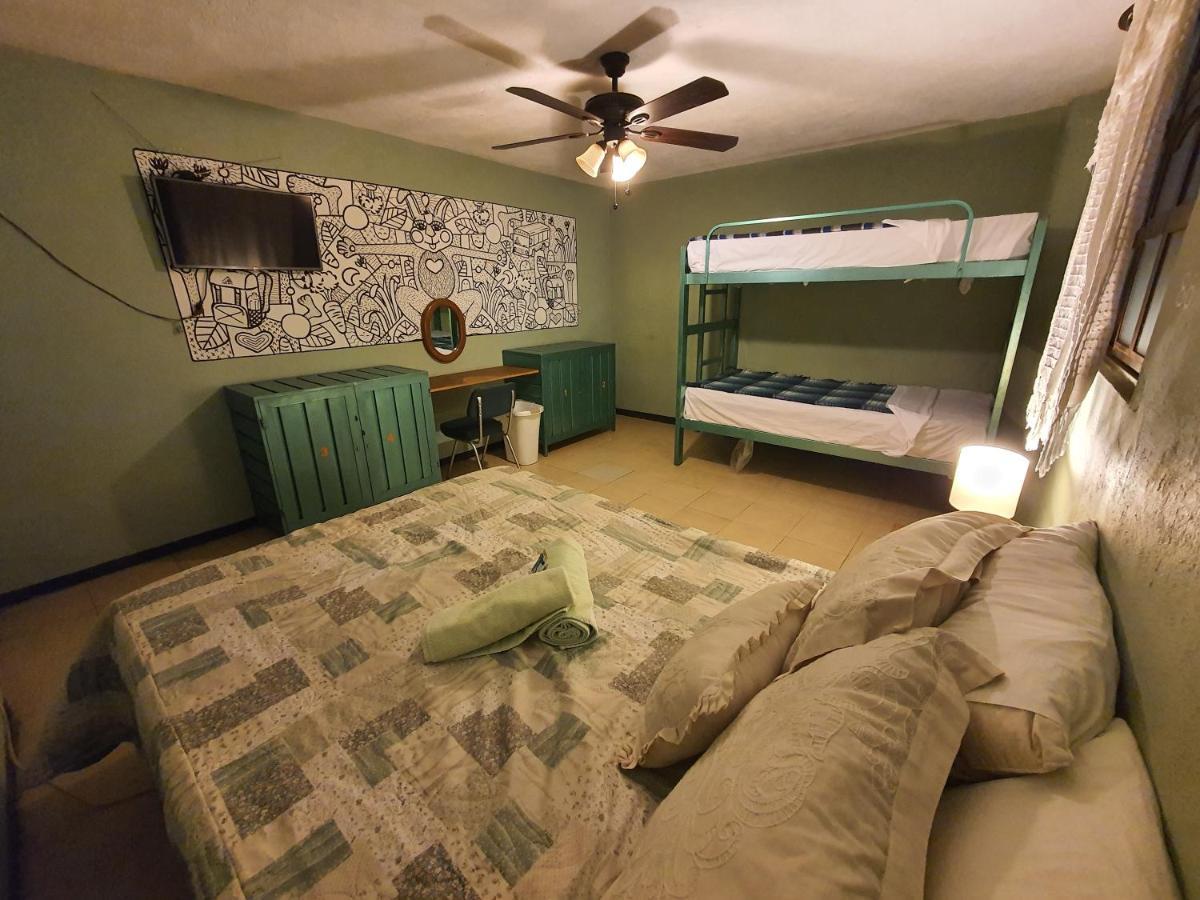 Hierba De Conejo Hostel Oaxaca Kültér fotó