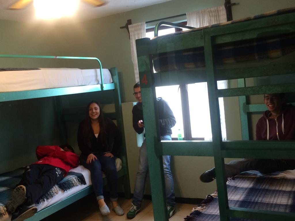 Hierba De Conejo Hostel Oaxaca Kültér fotó