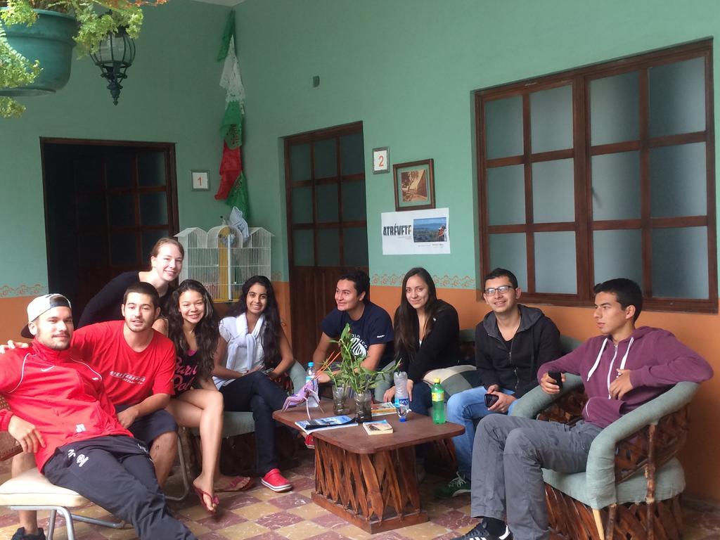 Hierba De Conejo Hostel Oaxaca Kültér fotó