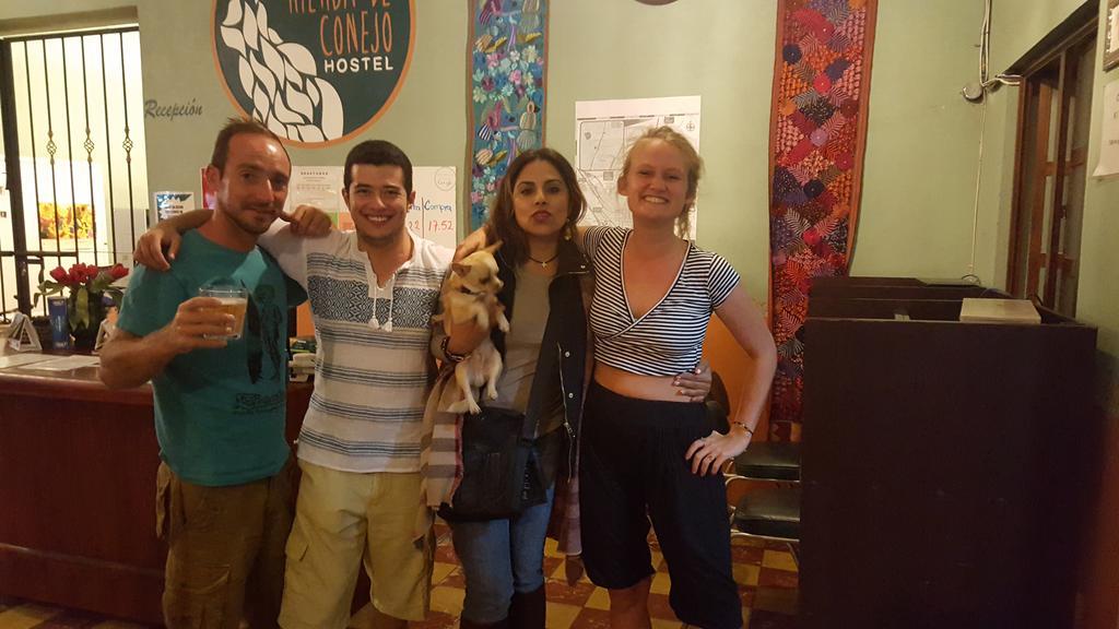Hierba De Conejo Hostel Oaxaca Kültér fotó