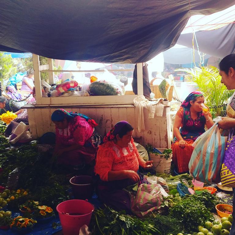 Hierba De Conejo Hostel Oaxaca Kültér fotó