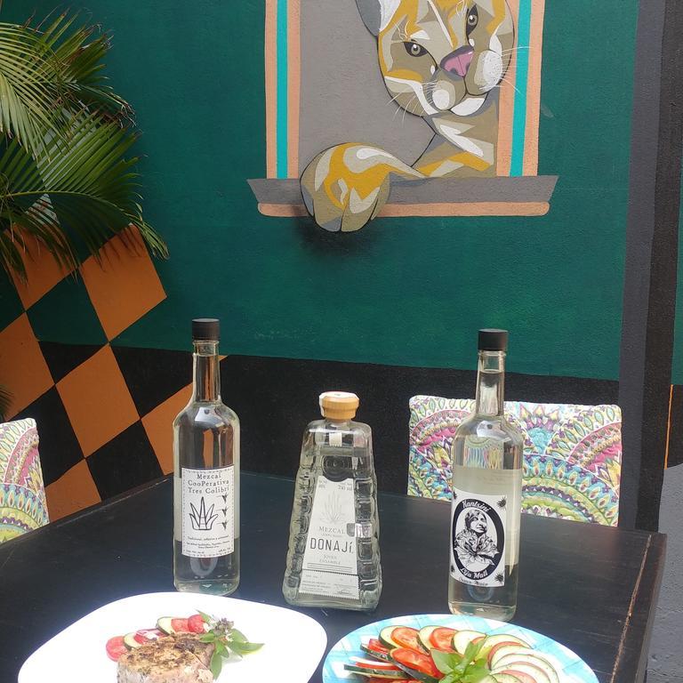 Hierba De Conejo Hostel Oaxaca Kültér fotó