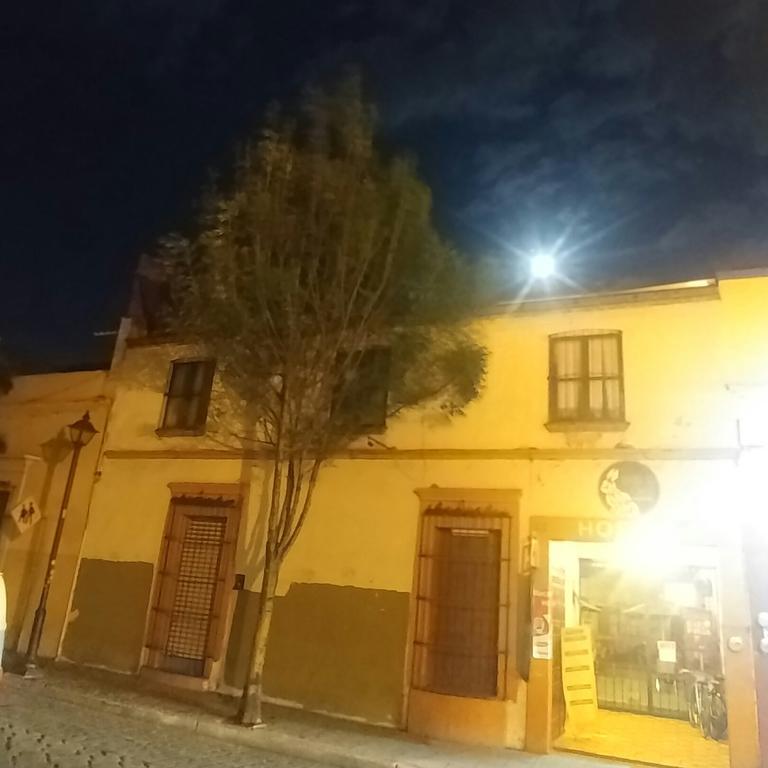 Hierba De Conejo Hostel Oaxaca Kültér fotó