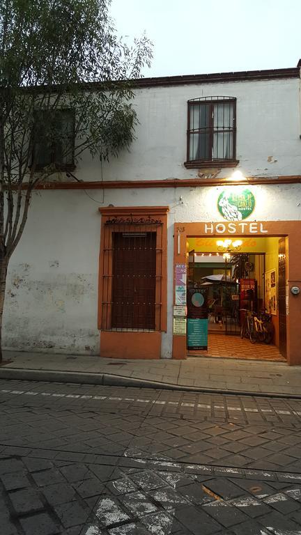 Hierba De Conejo Hostel Oaxaca Kültér fotó